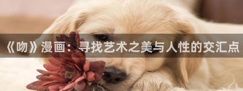 酷漫屋免费漫画官网