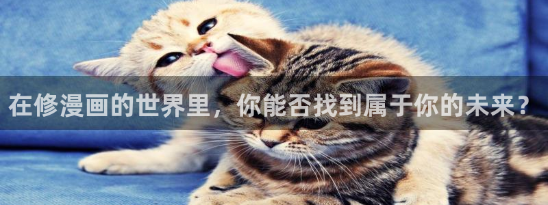 酷漫屋电影在线播放