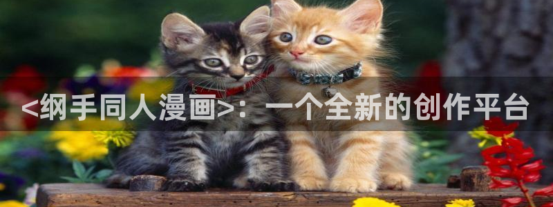 酷漫屋漫画：<纲手同人漫画>：一个全新的创作平台