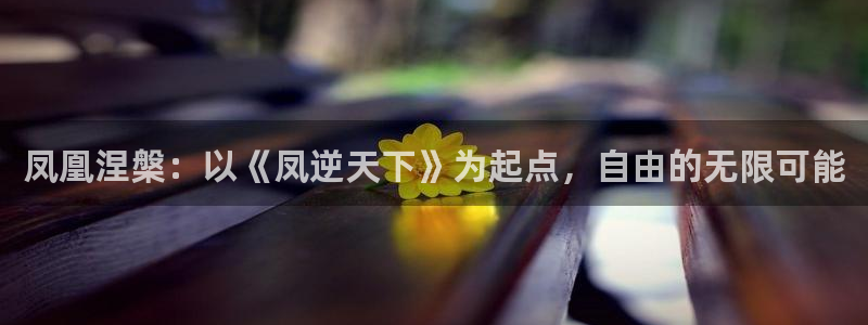 酷漫屋在线观看：凤凰涅槃：以《凤逆天下》为起点，自由的无限可能