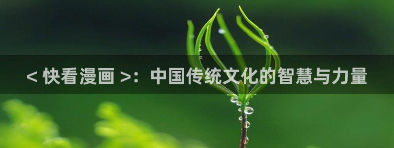 酷漫屋在线观看：< 快看漫画 >：中国传统文化的智慧与力量