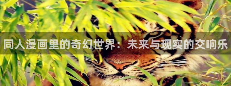 酷漫屋免费漫画入口页面在哪：同人漫画里的奇幻世界：未来与现实的交响乐