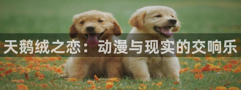 酷漫屋下拉式免费阅读：天鹅绒之恋：动漫与现实的交响乐